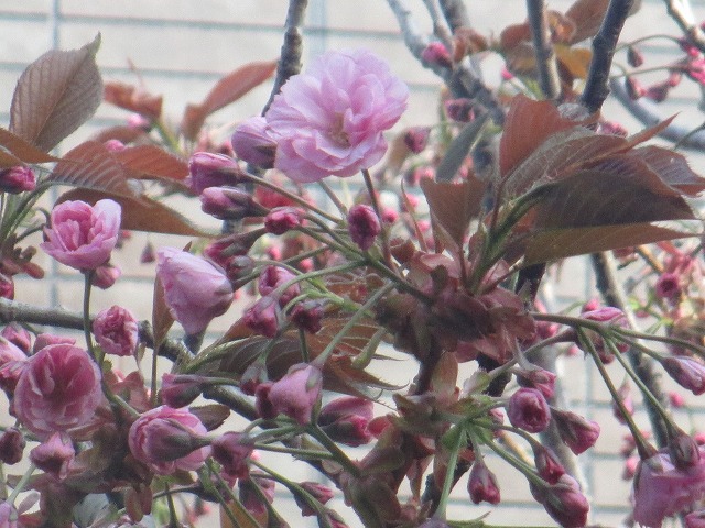 f0202703_2157815.jpg