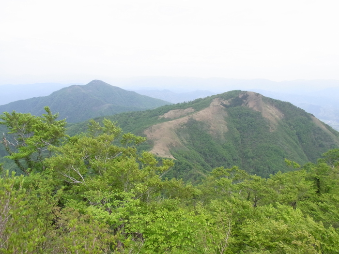 c0197004_13494724.jpg