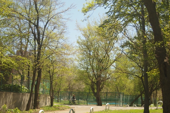 c0202705_1844387.jpg
