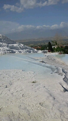 a0048609_2275013.jpg