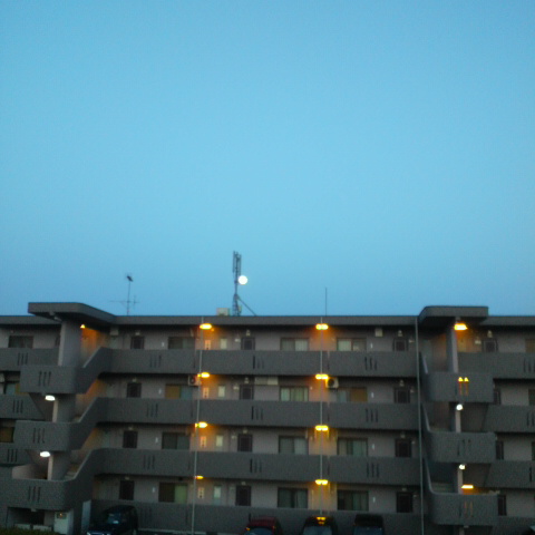 e0099212_2025098.jpg