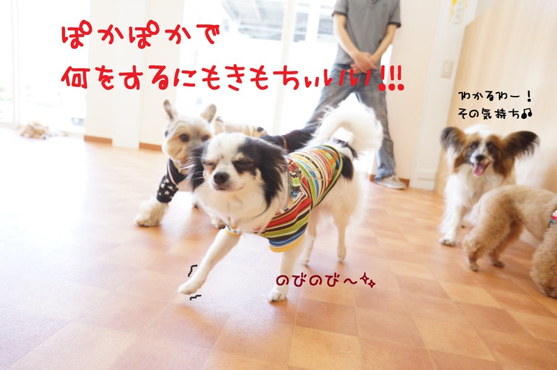 d0220513_17404619.jpg