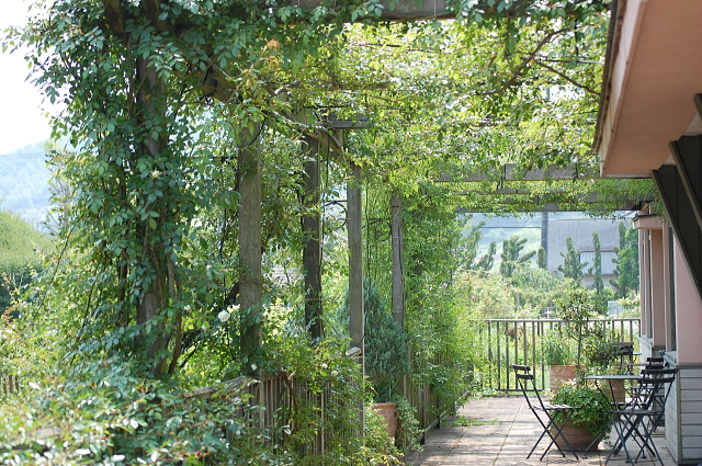 f0248120_21231588.jpg
