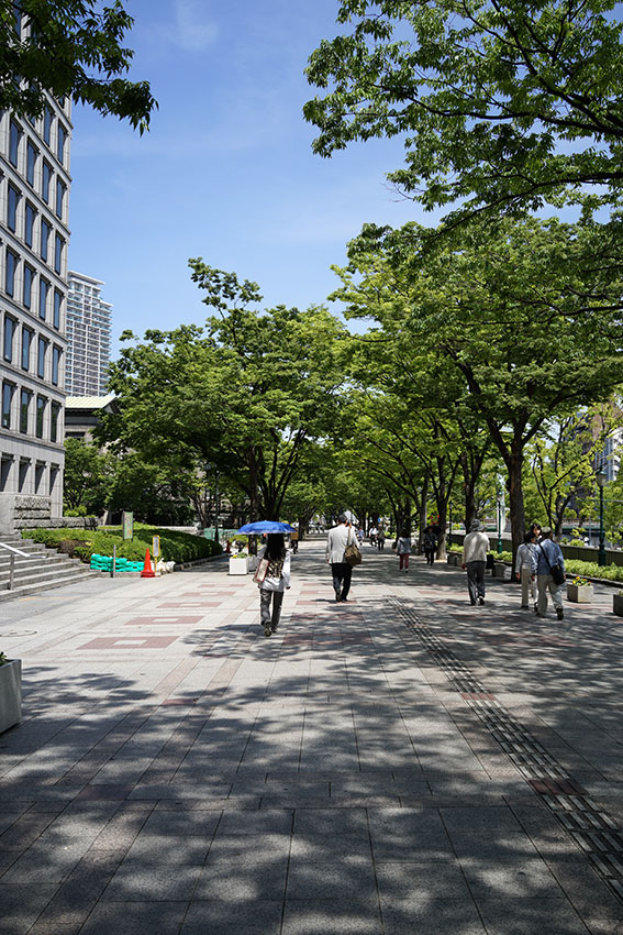 c0064025_15442054.jpg