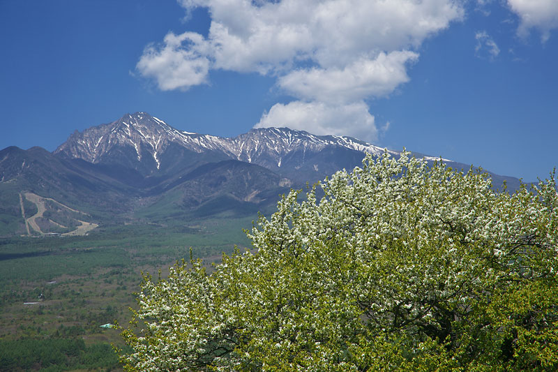 b0179231_0575241.jpg