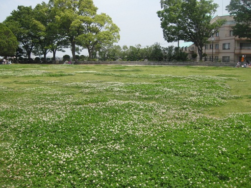 c0217931_13435.jpg