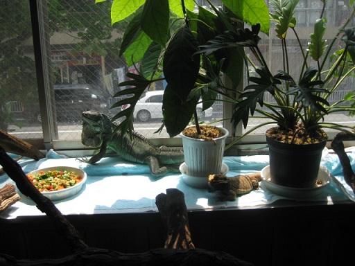 c0217931_1371332.jpg