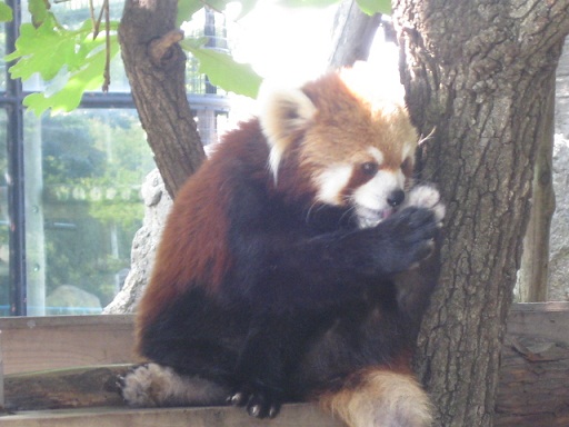 c0217931_1391479.jpg