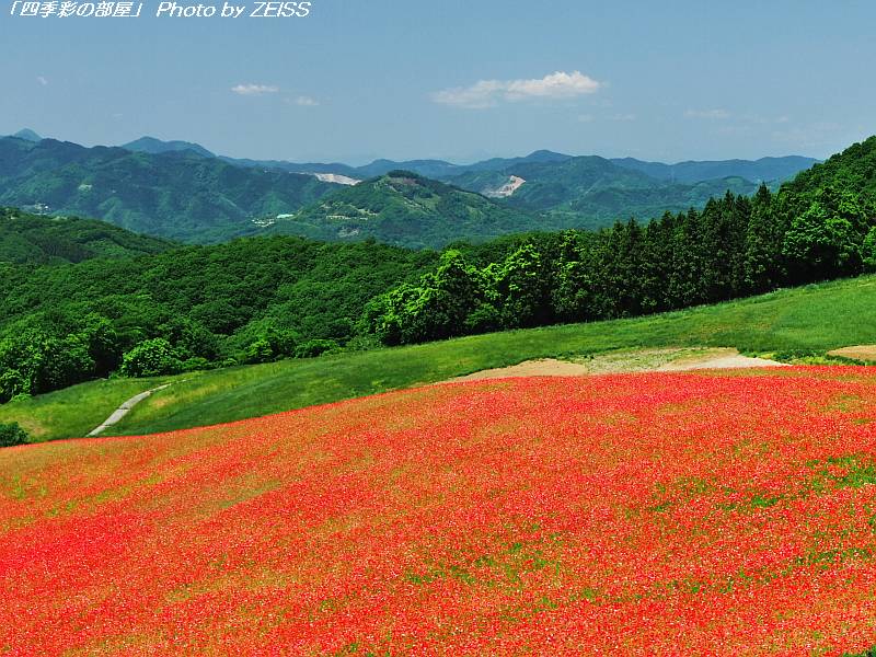 a0195032_2131515.jpg