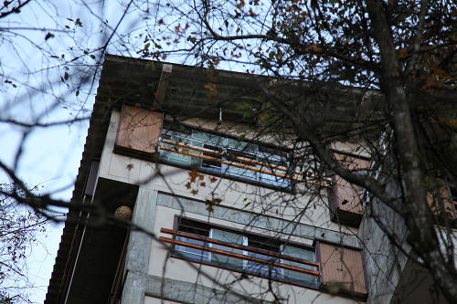 e0199046_1615293.jpg