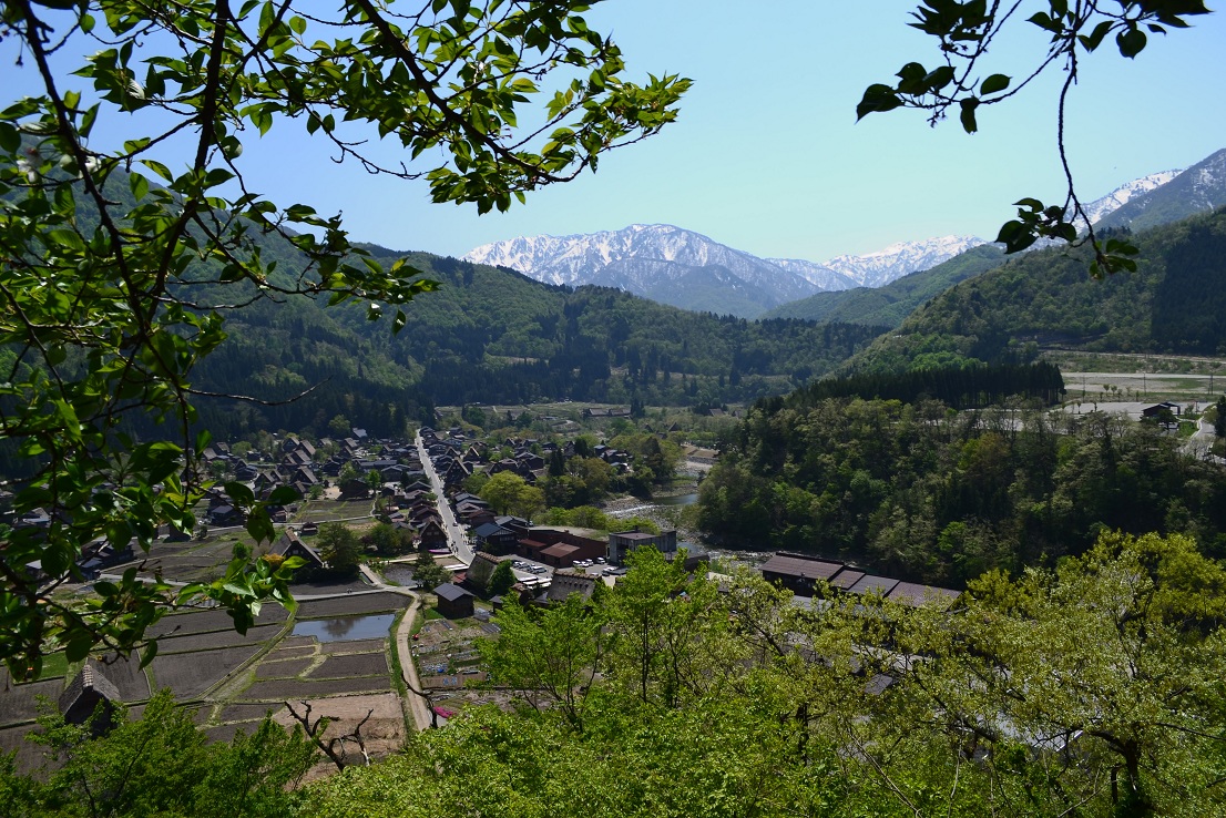 a0055650_197154.jpg
