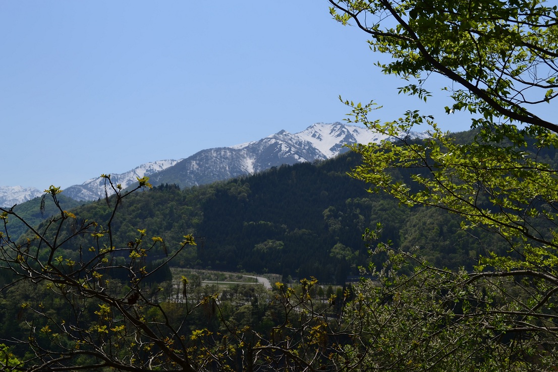 a0055650_1972144.jpg