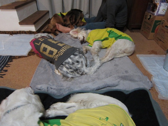 b0072650_1351251.jpg