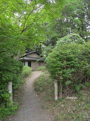c0098050_20355120.jpg