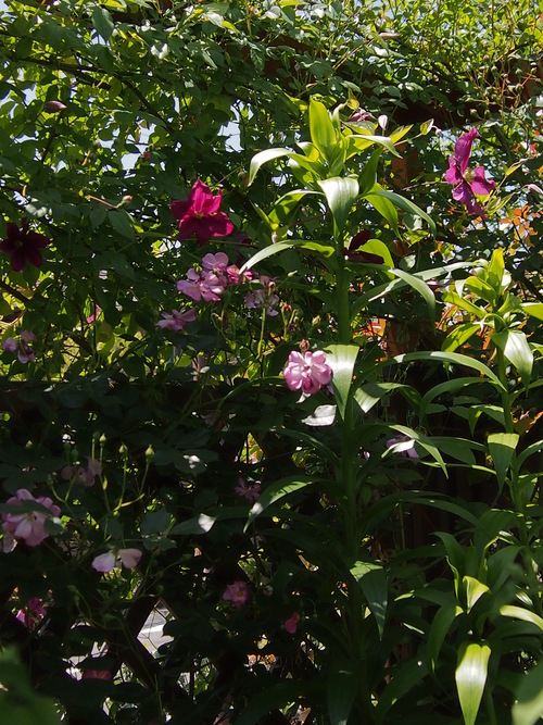 b0246758_21164293.jpg