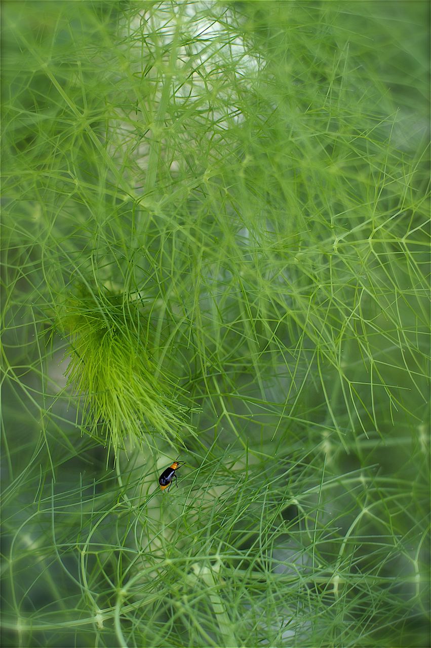 b0168859_5573521.jpg