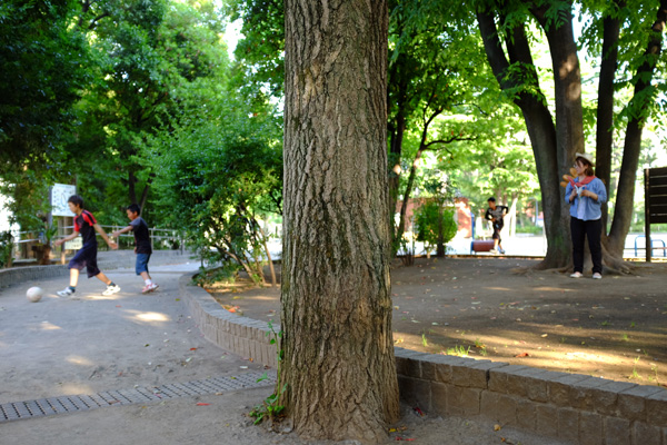 c0048265_21385449.jpg