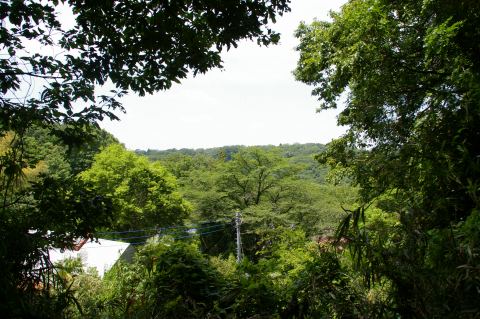 e0045768_22201270.jpg