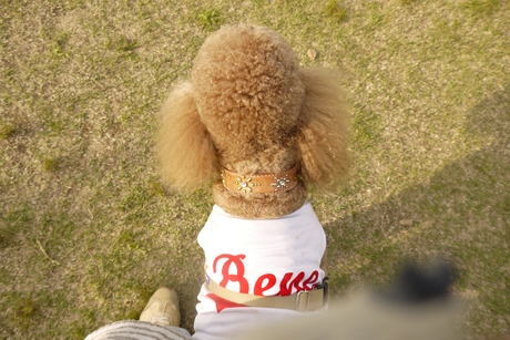 c0283778_1626463.jpg