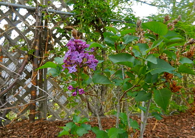 d0260278_8262279.jpg