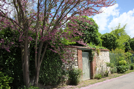 f0127388_5341578.jpg