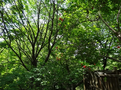 d0257298_16541969.jpg