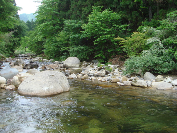 f0266202_21452382.jpg