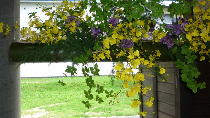 a0214206_21394257.jpg