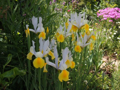 c0117007_21401079.jpg
