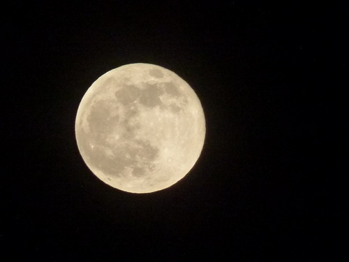 b0052108_20583329.jpg
