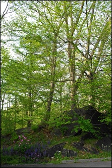 c0157412_22562927.jpg