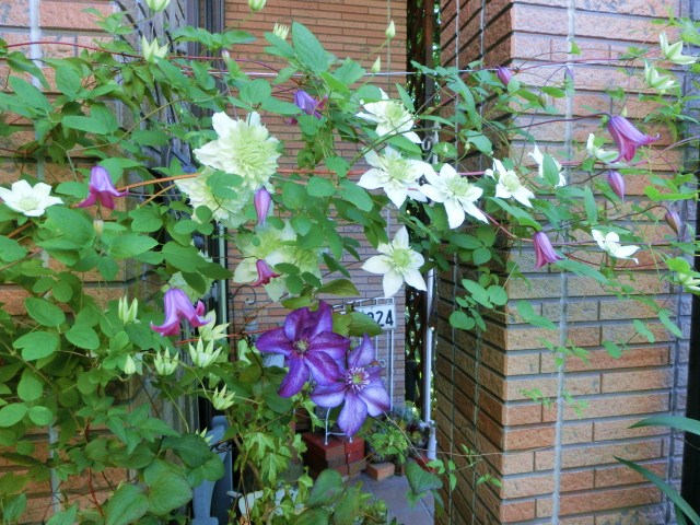 c0204121_2012454.jpg