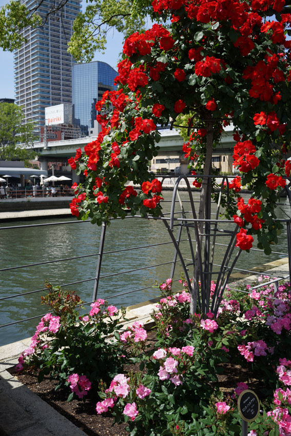 c0064025_2230126.jpg