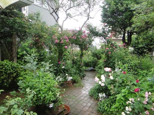 c0197829_0195654.gif
