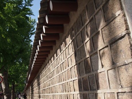 c0103830_13342556.jpg