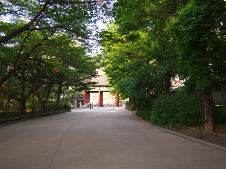 c0103830_1346214.jpg