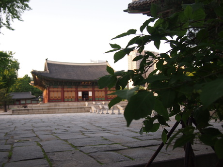 c0103830_13481646.jpg