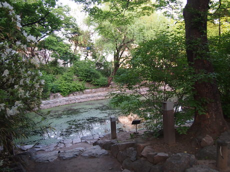 c0103830_13501296.jpg