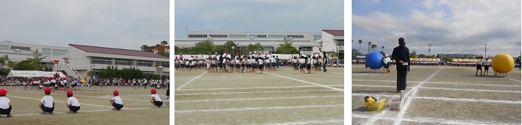 e0069234_17523455.jpg