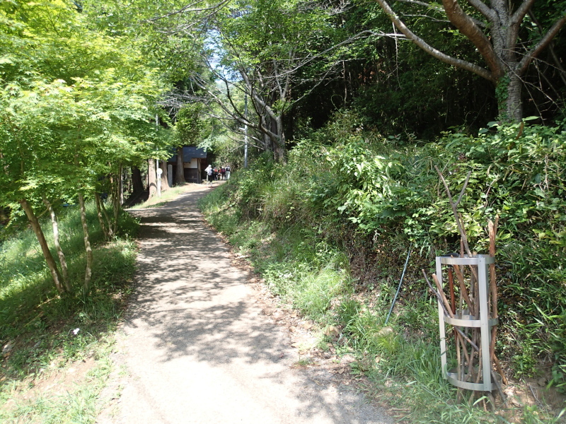 b0190242_11471498.jpg