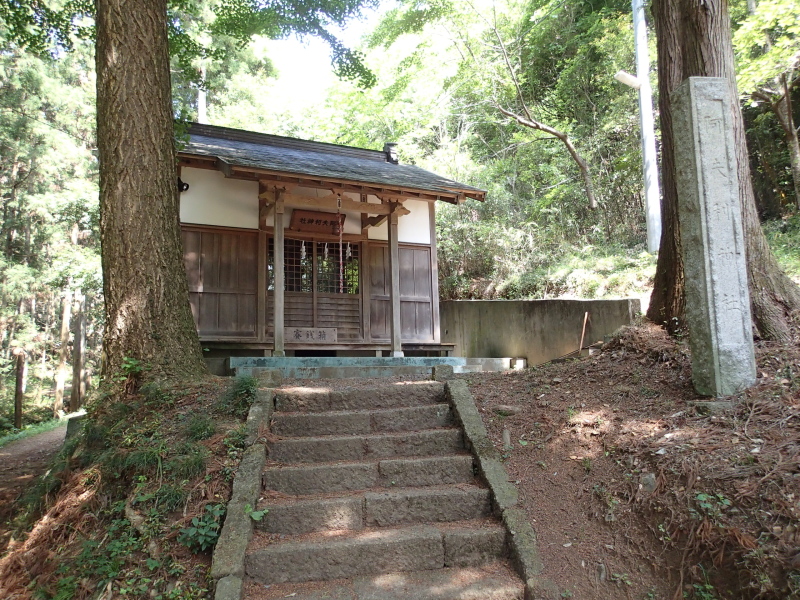 b0190242_11475572.jpg