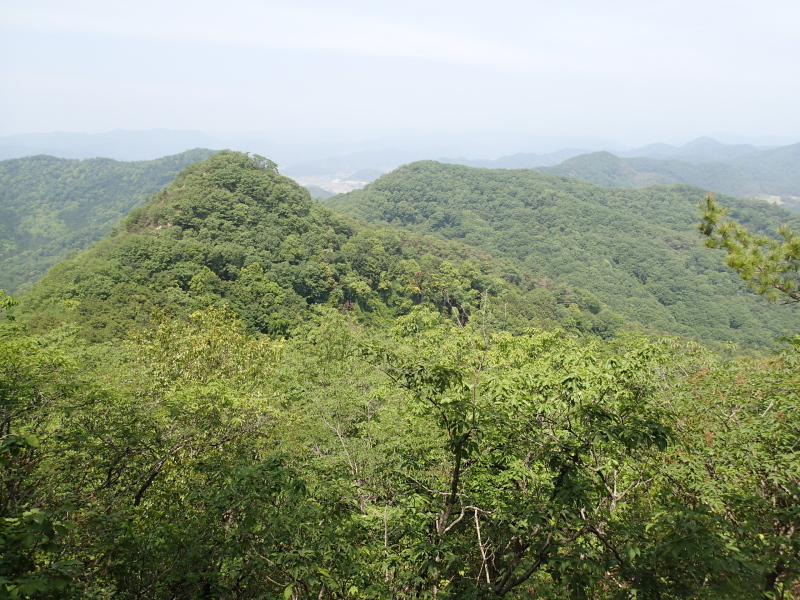 b0190242_11532129.jpg