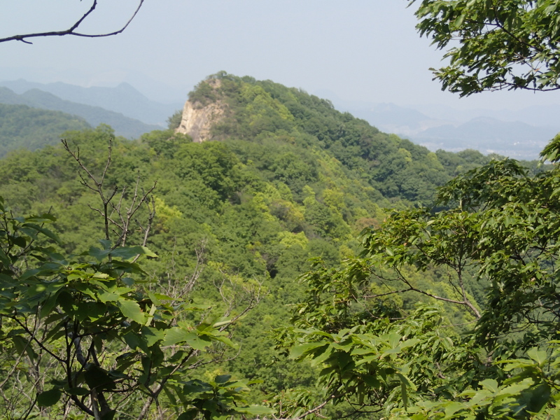 b0190242_11582928.jpg