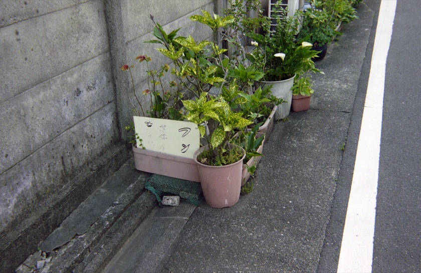 d0089742_21441773.jpg