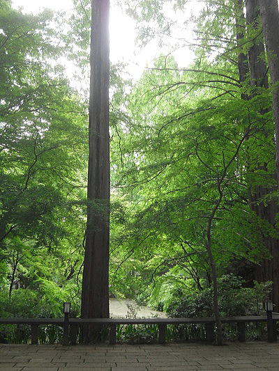 f0094843_22301789.jpg