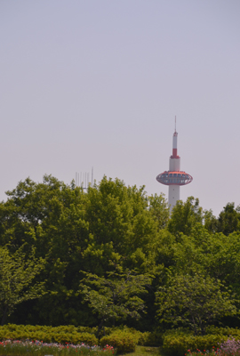 d0227246_21325811.jpg
