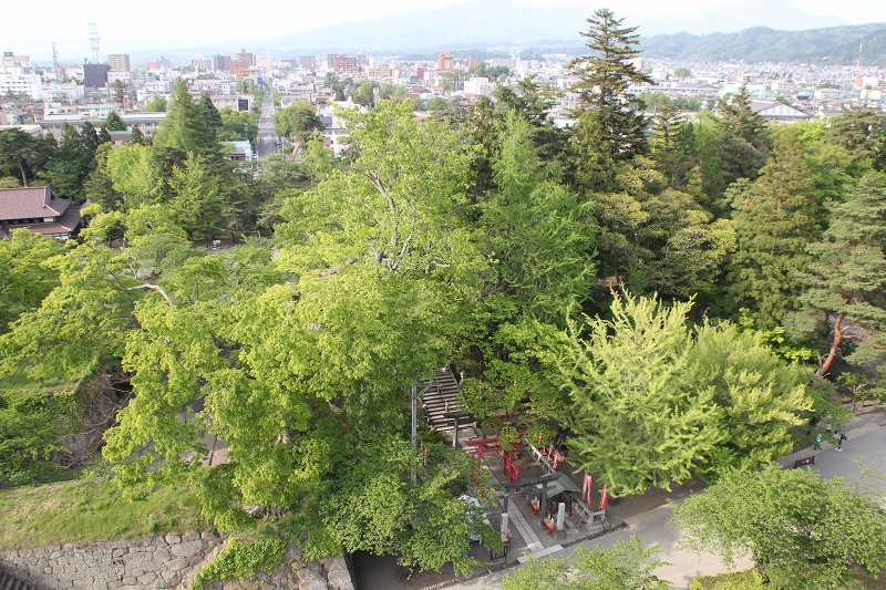 b0250154_22401355.jpg