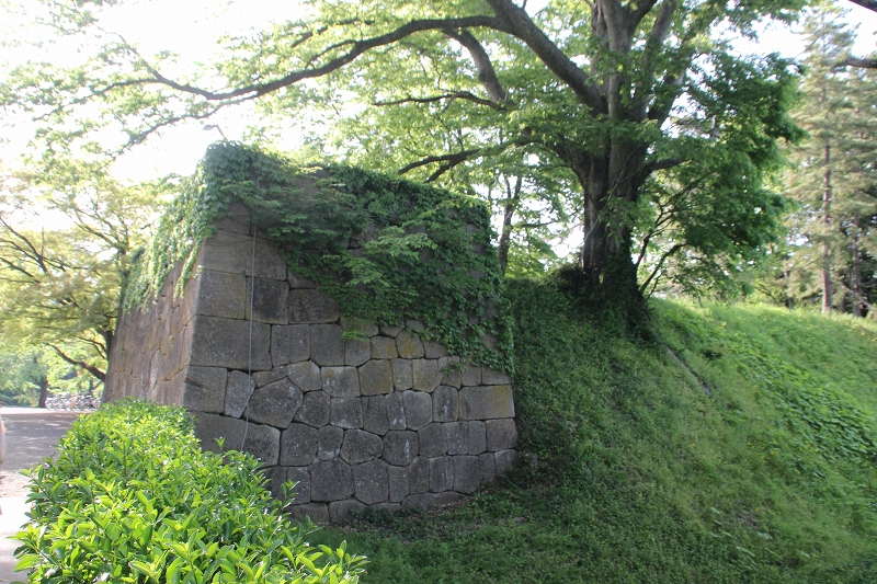 b0250154_745992.jpg