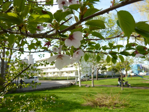 a0193457_1141110.jpg