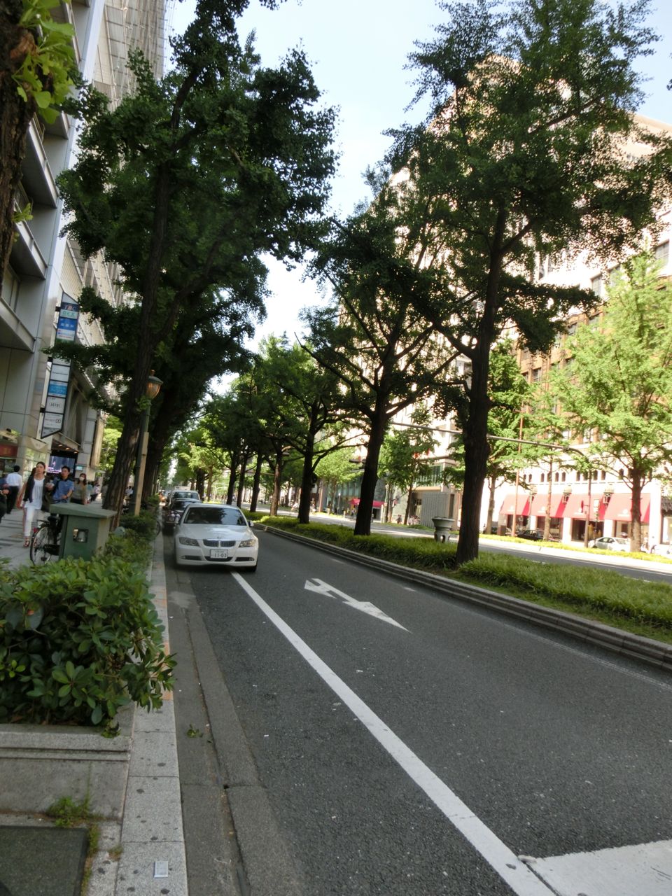 d0105063_1145771.jpg